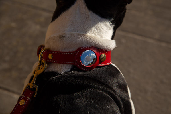 Airtag Edition dog collar by Florenze Leather