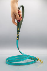 Acqua Turquoise Leather Dog Lead