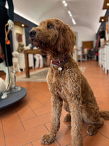 Chianti Maroon Leather Dog Collar
