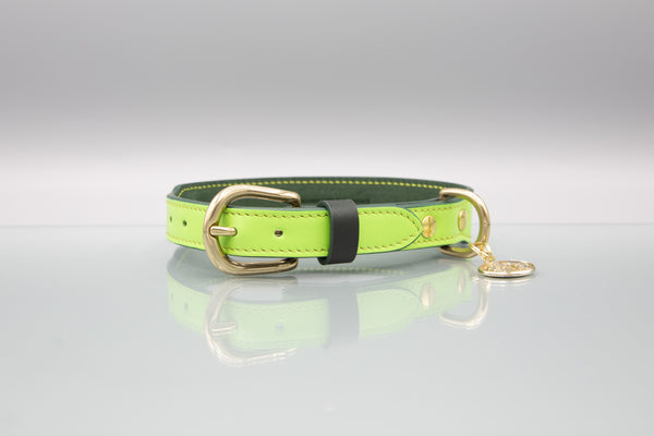 Meadow Green Leather Dog Collar