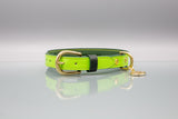 Meadow Green Leather Dog Collar
