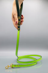 Meadow Green Leather Dog Lead