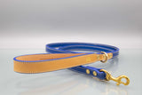 Ocean Blue Leather Dog Lead