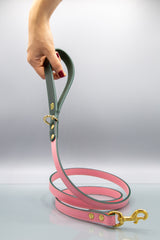 Roses Pink Leather Dog Lead