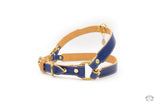 Ocean Blue Leather Dog Harness