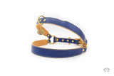 Ocean Blue Leather Dog Harness