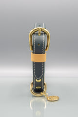 Cypress Green Leather Dog Collar
