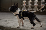 Classic Black Leather Dog Harness