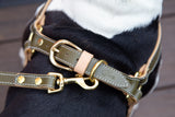 Olive Green Leather Dog Harness