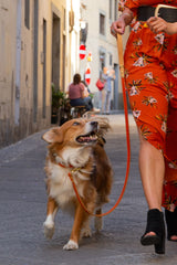Sunset Orange Leather Dog Lead