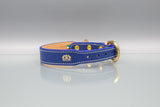 Ocean Blue Leather Dog Collar
