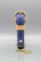 Ocean Blue Leather Dog Collar
