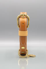 Saddle Brown Leather Dog Collar