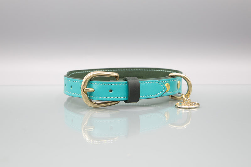 Acqua Turquoise Leather Dog Collar