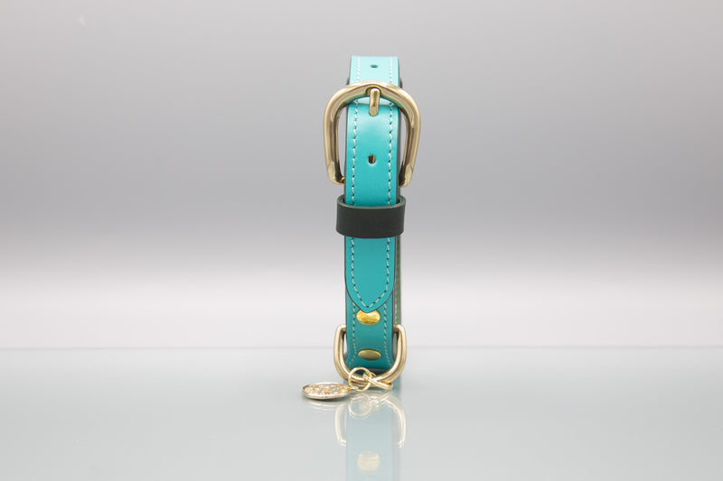 Acqua Turquoise Leather Dog Collar