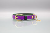 Lavender Purple Leather Dog Collar