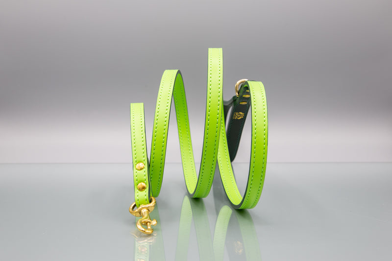 Meadow Green Leather Dog Lead