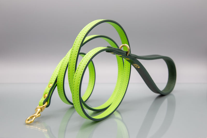Meadow Green Leather Dog Lead