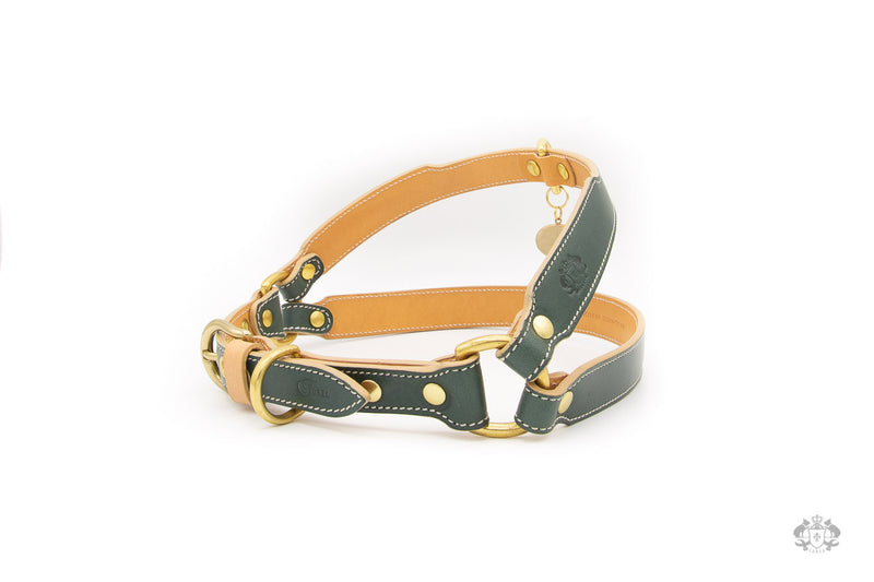 Cypress Green Leather Dog Harness – Florenze Luxury Pet Accessories
