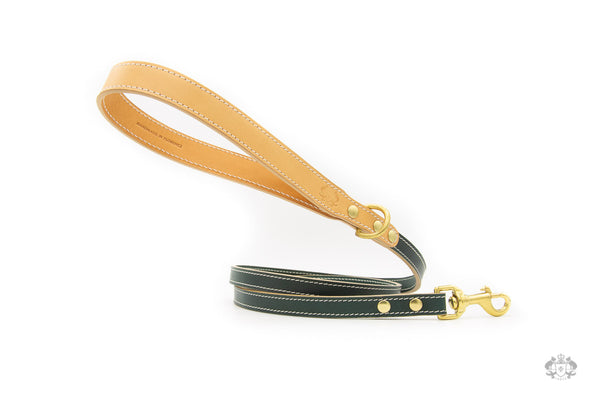 Cypress Green Leather Dog Leash front view