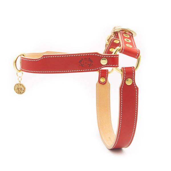 Red leather dog store harness